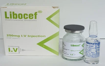 Libocef