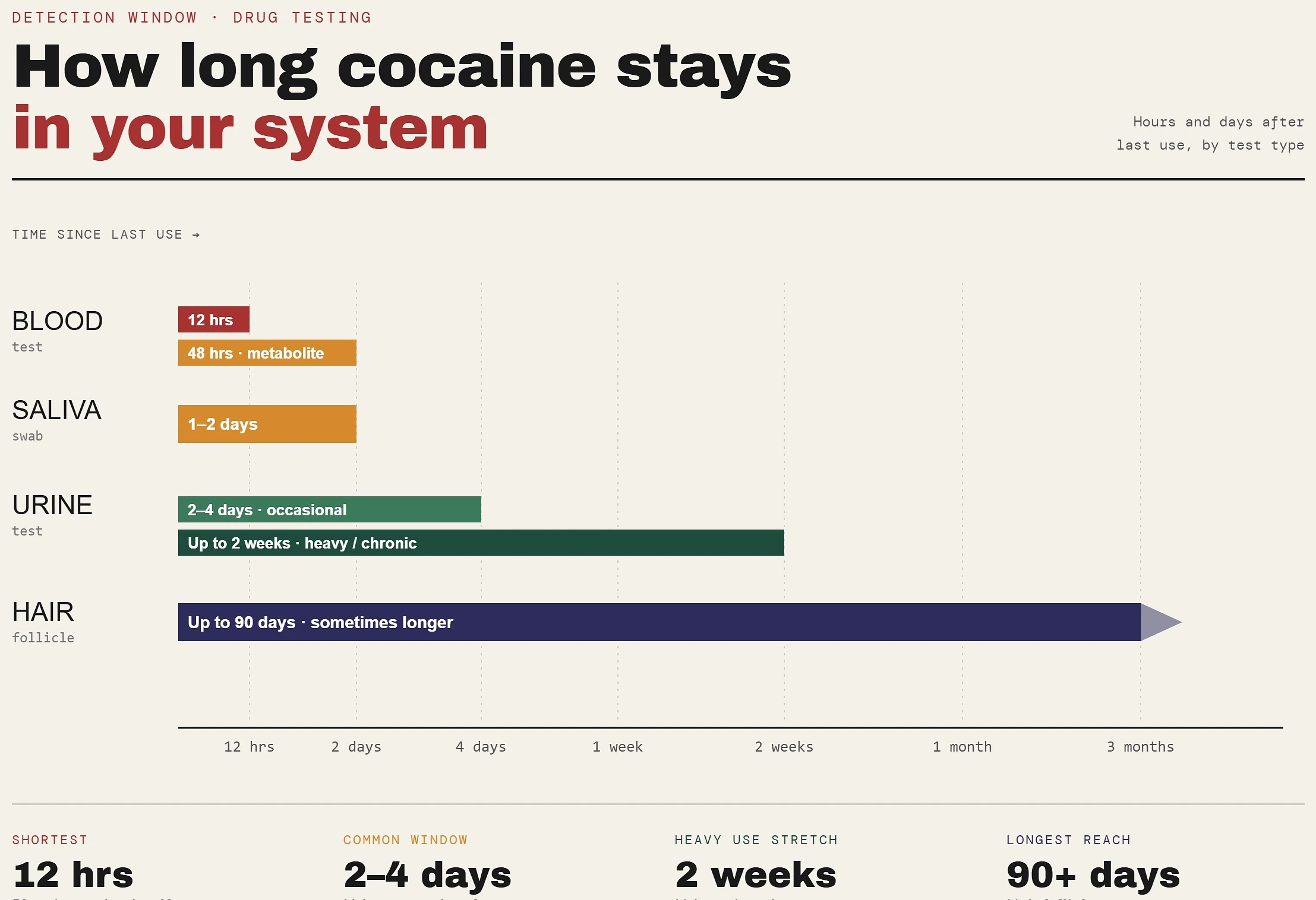 How Long Does Cocaine Stay in Your System?